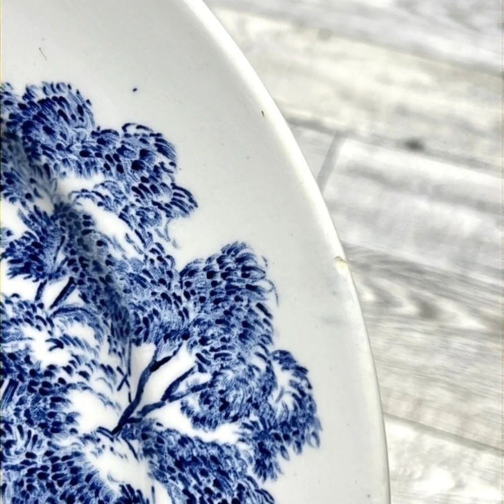 Wedgwood enoch blue